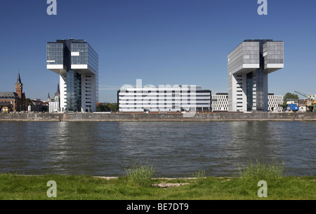 Grue Kranhaus bâtiments du port Rheinauhafen, Cologne, Rhénanie du Nord-Westphalie, Allemagne, Europe, Banque D'Images