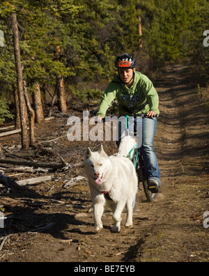 Husky, jeune femme bikejoring, terre sèche Sled Dog Race, vtt, Territoire du Yukon, Canada, Amérique du Nord Banque D'Images