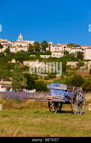 Ancien panier de récolte de lavande dans les agriculteurs champ avec la ville de Sault au-delà, Provence France Banque D'Images