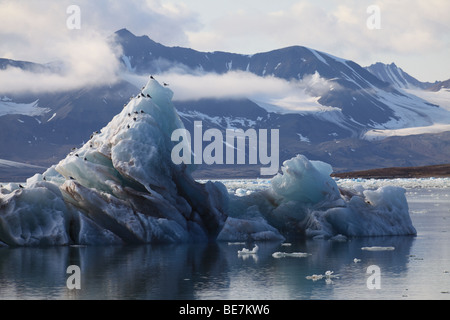 La fonte des glaces d'Arctic Glacier au Svalbard KongsFjorden Banque D'Images