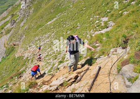 Trail sécurisé par des cordes et de struts Hoher Ifen Mountain, Vorarlberg, Autriche, Alpes Allgaeu, Europe Banque D'Images