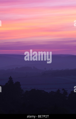 Une soirée de voir dans le Northumberland Chillingham plus de terres et bois en direction de la mine Cheviot Hills. Angleterre, Royaume-Uni Banque D'Images