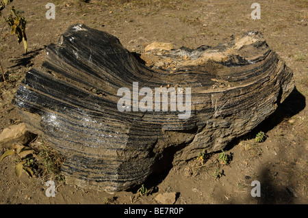 Rock d'obsidienne, Hell's Gate National Park, Naivasha, Kenya Banque D'Images