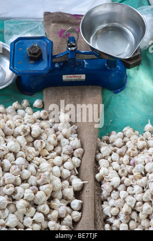 Bulbes d'ail pour la vente sur un marché indien. L'Andhra Pradesh, Inde Banque D'Images