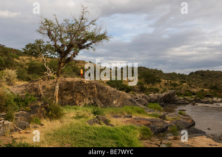 Safari à pied avec les Massaïs, plateau de Laikipia, Kenya Banque D'Images