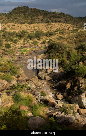 D'Ewaso Nyiro, plateau de Laikipia, Kenya Banque D'Images