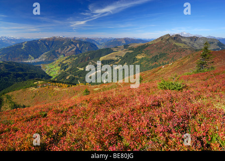 Vue du village vers Hundstein Zell am See, Schmittenhoehe et Schwalbenwand aux couleurs de l'automne de Huckleberry et mélèzes Banque D'Images