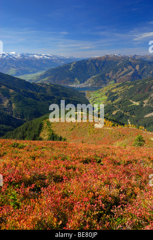 Vue depuis à Hundstein gamme Hohe Tauern, le village de Zell am See et Schmittenhoehe aux couleurs de l'automne de Huckleberry et mélèzes, Banque D'Images