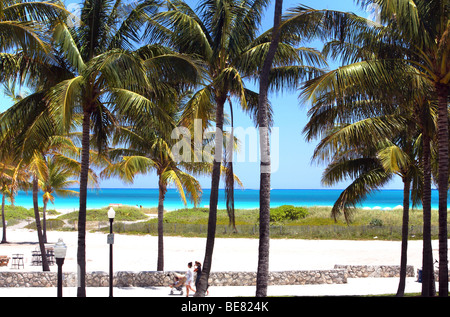 Les gens se promener sous les palmiers à Lummus Park, South Beach, Miami Beach, Florida, USA Banque D'Images