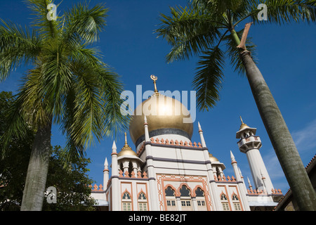 La Mosquée Sultan dans le district de Kampong Glam, à Singapour, en Asie Banque D'Images