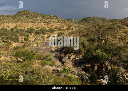 D'Ewaso Nyiro, plateau de Laikipia, Kenya Banque D'Images