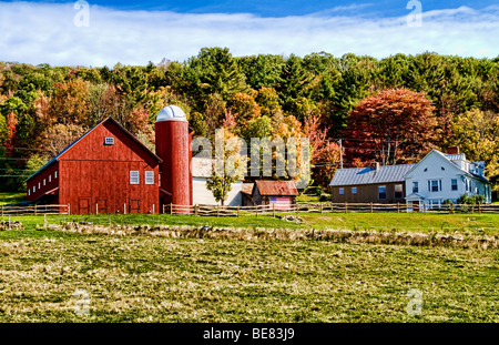 Ferme à la couleur de l'automne feuillage en Weston Florida Banque D'Images