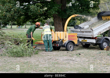 2 Deux hommes arbres déchiquetage Banque D'Images