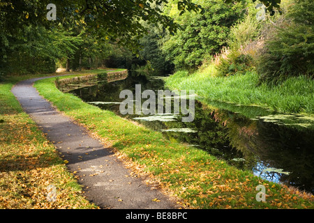 Le canal large Huddersfield et chemin de halage en automne à Bradley, Huddersfield, West Yorkshire, Royaume-Uni Banque D'Images