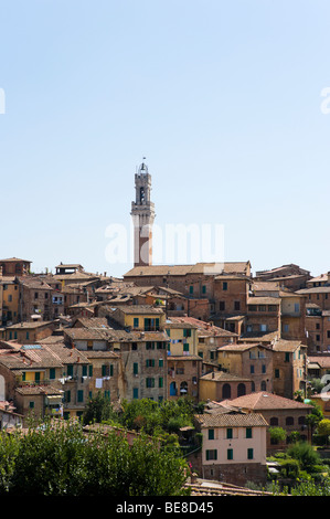 Vue sur la vieille ville en direction de la Torre del Mangia sur le Palazzo Pubblico, Sienne, Toscane, Italie Banque D'Images