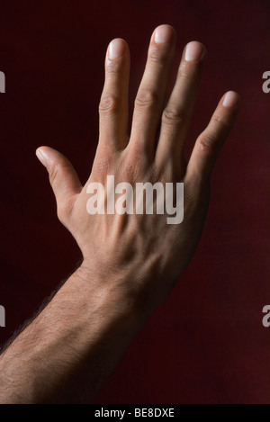 Main de l’homme Banque D'Images