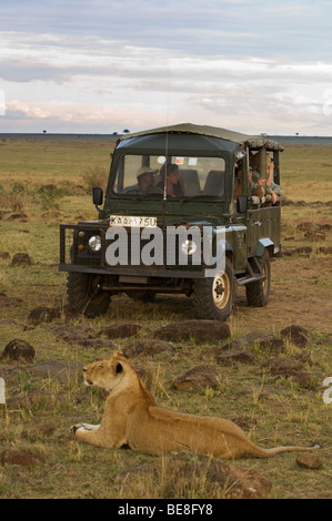 Les touristes à regarder un Lion (Panthero leo), Maasai Mara National Reserve, Kenya Banque D'Images