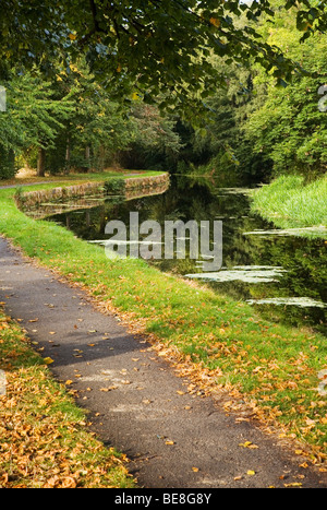 Le canal large Huddersfield et chemin de halage en automne à Bradley, Huddersfield, West Yorkshire, Royaume-Uni Banque D'Images