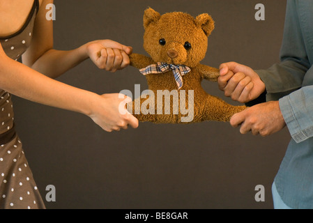 Ours d'être tiré à part par deux personnes chacune luttant pour la possession Banque D'Images