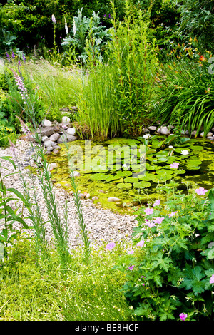 Un coin du jardin à l'amical de la faune des jardins des brindilles à Swindon, Wiltshire, England, UK Banque D'Images