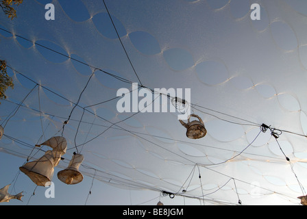 Faites l'installation de filet d'arbres de Noël, câbles d'alimentation et de la lumière des objets contre un ciel d'été bleu, Radebeul Wine Festival, Banque D'Images