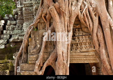 Ta Som emblématique dans le complexe d'Angkor Wat, au Cambodge Banque D'Images