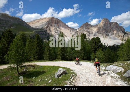 Les coureurs de vélo de montagne sur la limousine passer dans le Parc Naturel de Fanes-Sennes-Prags, Trentino Alto Adige, Italie, Europe, Banque D'Images