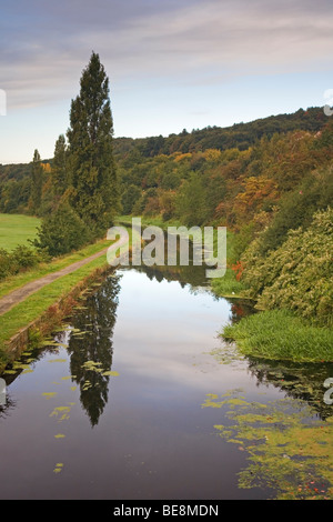 Le canal large Huddersfield et chemin de halage en automne à Bradley, Huddersfield, West Yorkshire, Royaume-Uni Banque D'Images