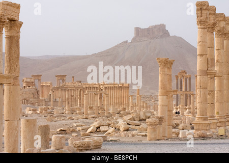 Ruines d'une ancienne ville romaine dans le désert, l'Ibis chauve se produit dans ce domaine Banque D'Images