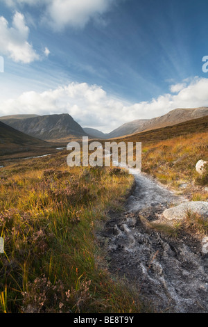 Sentier menant à travers Glen Dee avec Ben MacDui en arrière-plan, les Highlands écossais, UK Banque D'Images