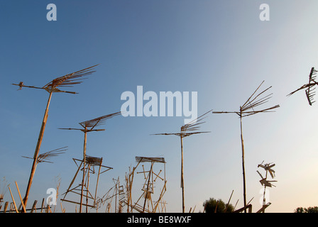 Sculptures en bois et de l'installation sous la forme d'oiseaux et éoliennes sur le Elbwiese prairie pour le Festival du vin de Radebeul Banque D'Images