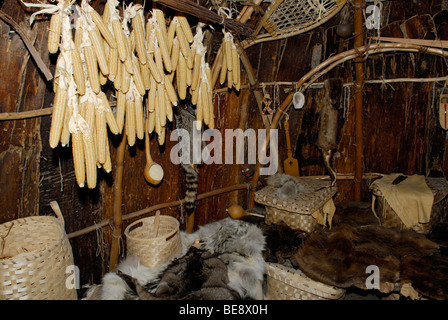 À l'intérieur d'un tipi Amérindien lodge, Mashantucket Pequots, 16e siècle, avec le séchage du maïs, des outils, des skins Banque D'Images