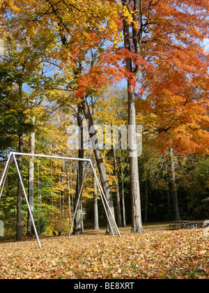 Journée d'automne au parc. L'érable et le chêne arbres sont de façon percutante colore en rouge et or. Il y a un vide sous l'arbre de rotation Banque D'Images