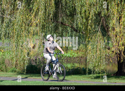 Un homme monté sur son vélo d'un grand saule pleureur. Il est à la recherche de ne pas prêter attention à l'endroit où il va. Banque D'Images