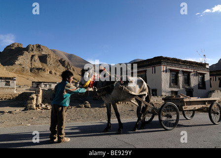 Garçon tibétain nomade tenant la bride d'un cheval décoré, voitures à cheval en face de fermes avec traditionnelle tibétaine Banque D'Images