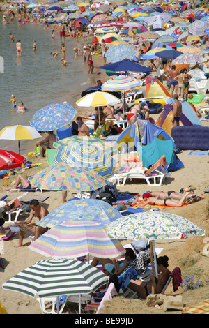 La Croatie. Île de Rab.Umbrelas sur la plage. Plage bondée. Paradise Beach sur la rab. Banque D'Images