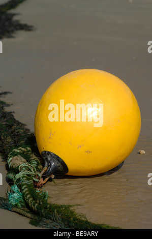 Bouée jaune sur la plage Banque D'Images