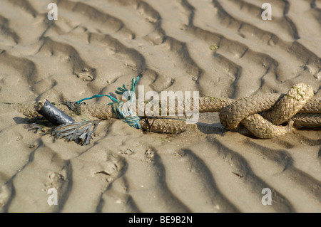 Corde sur une plage de sable Banque D'Images
