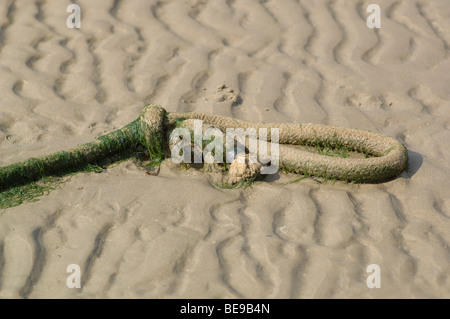 Corde sur une plage de sable Banque D'Images