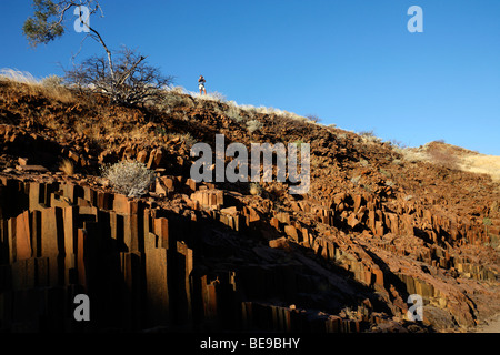 La "tuyaux d'Orgue" dans la formation de basalte en Namibie Damaraland Banque D'Images