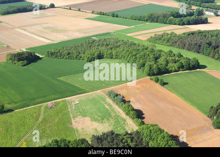 Zone agricole avec des champs, des prairies boisées et de haies de l'air, Belgique Banque D'Images