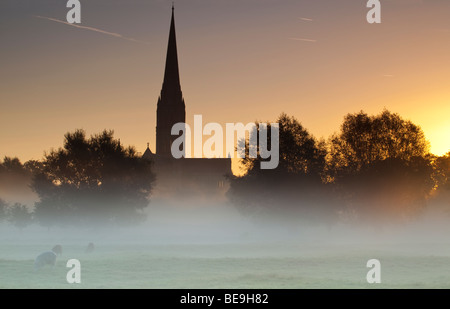 La cathédrale de Salisbury vue de Harnham prés de l'eau au lever du soleil Banque D'Images