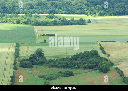 Akkers dans bocagelandschap rencontré hagen en bomen, Voeren, Belgi Champs dans paysage de bocage de haies et arbres, Voeren, Belgique Banque D'Images