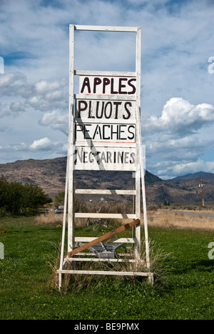 Old weathered cueillette de pommes en bois peint blanc bain utilisé comme signe de fruits de la vallée de l'Okanagan Washington paysage Banque D'Images