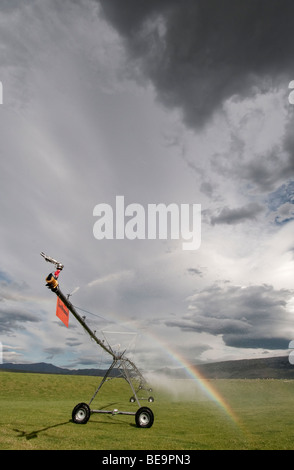 Système de gicleurs, l'Otago, Nouvelle-Zélande, Banque D'Images