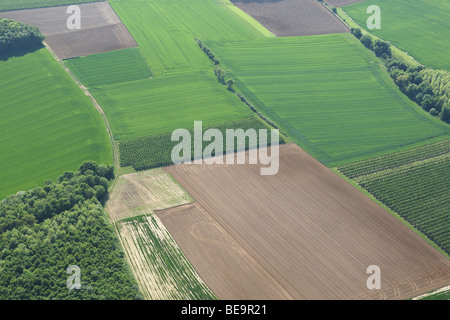 Zone agricole avec des champs, des prairies, des forêts et des haies de l'air, Belgique Banque D'Images