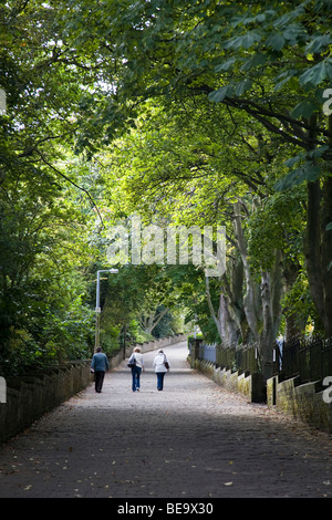 Chemin bordé d'arbres à côté de CENTRAL PARK, Haworth , un village perché dans le West Yorkshire, où la famille vivait à Bronte Banque D'Images