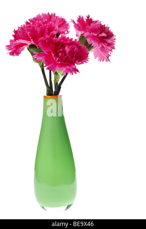 Oeillets roses dans un vase vert isolated on white Banque D'Images