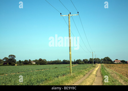 Croisement des lignes de l'électricité rurale, champ Alderton, Suffolk, Angleterre Banque D'Images