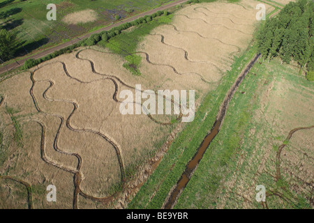 Les zones humides et reedland à partir de l'air, la réserve naturelle Demerbroeken, Belgique Banque D'Images